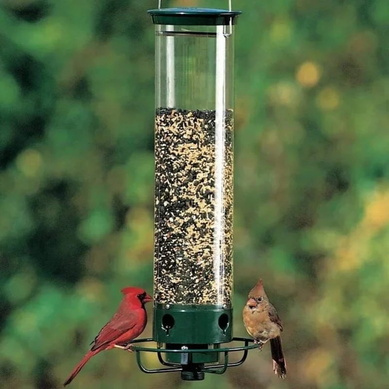 🔥  49% OFF🔥Squirrel-Proof Bird Feeder