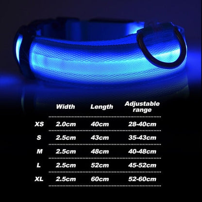 🔥LAST DAY 70% OFF - LED Night Safety Pet Collar