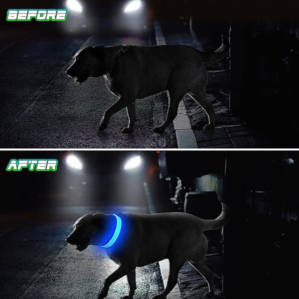 🔥DERNIER JOUR 70 % DE RÉDUCTION - Collier de sécurité nocturne à LED pour animaux de compagnie