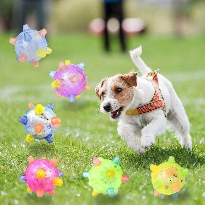 💥Offre spéciale 49% de réduction💥ACHETER-EN 1, OBTENEZ-EN 1 GRATUIT🔥Balle d'activation de saut pour chiens et chats