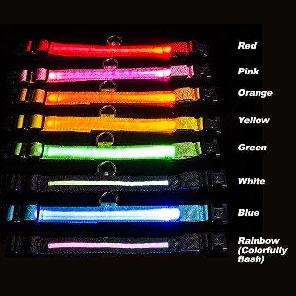 🔥DERNIER JOUR 70 % DE RÉDUCTION - Collier de sécurité nocturne à LED pour animaux de compagnie