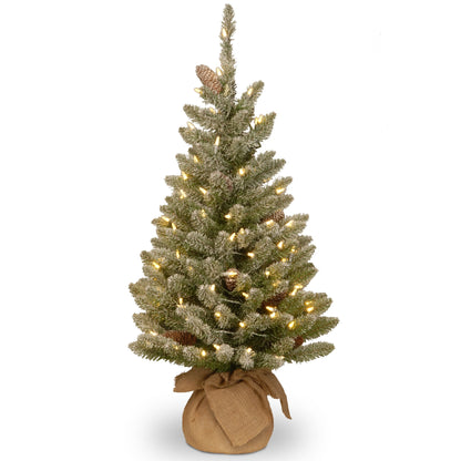 2 ft Mini Christmas Tree, Includes Small Lights and Cloth Bag Base,Majestic Fir