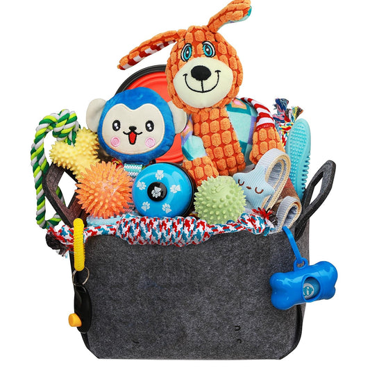 20 Pack Dog Chew Toys for Small Medium Dogs, Puppy Toys with Rope, Treat Balls and Squeaky Toys
