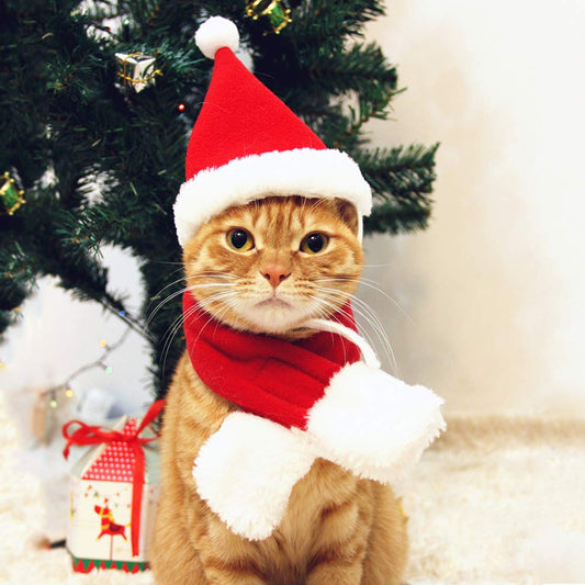 Cat Santa Hat with Scarf,  Christmas Costume for Cat Rabbit Puppy Doll