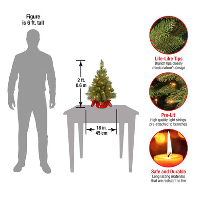 2 ft Mini Christmas Tree, Includes Small Lights and Cloth Bag Base,Majestic Fir