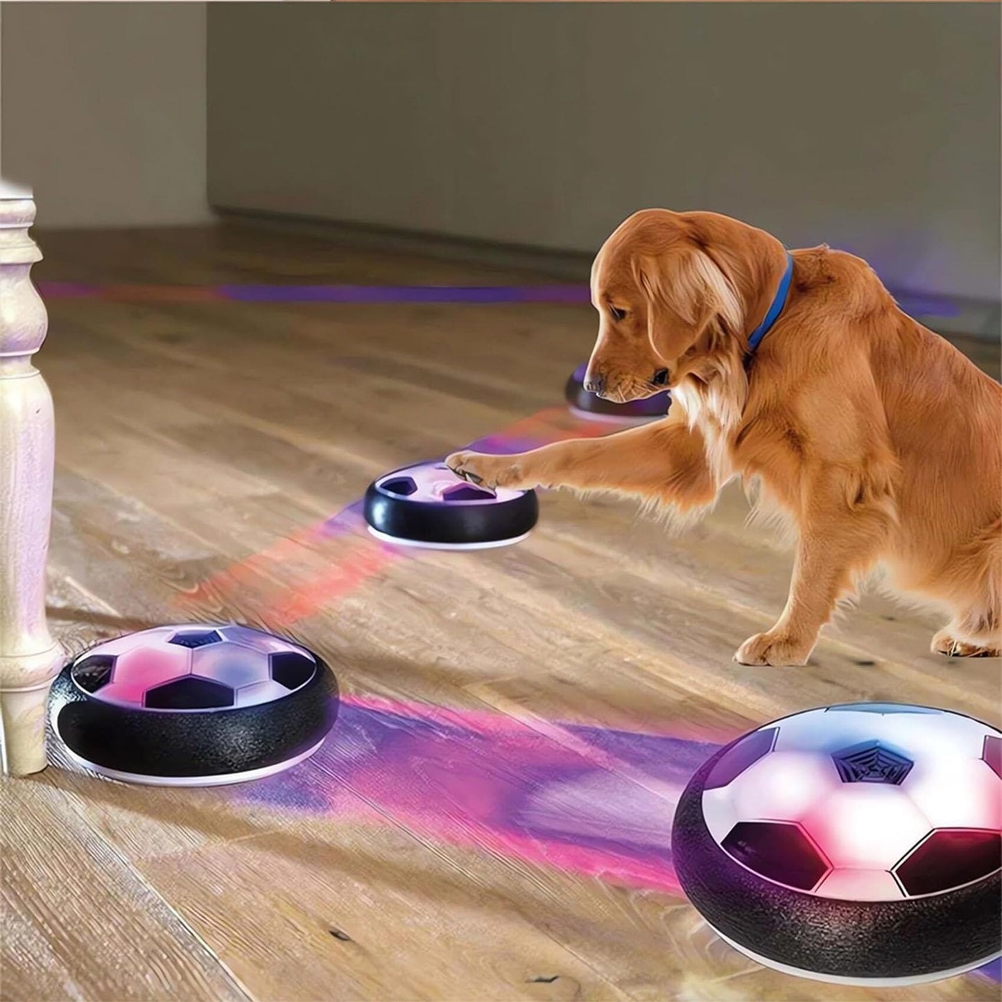 Pet Skateboard Flying Saucer Ball With Light