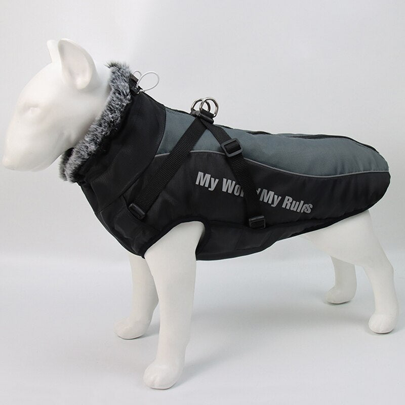 Warm and cozy vest for dog