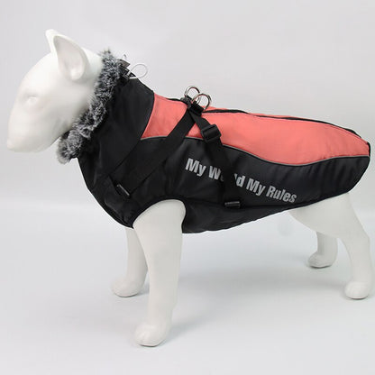 Warm and cozy vest for dog