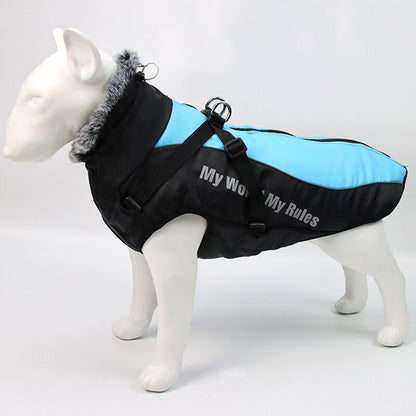 Warm and cozy vest for dog