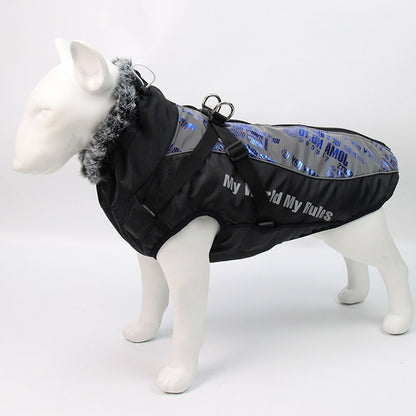 Warm and cozy vest for dog